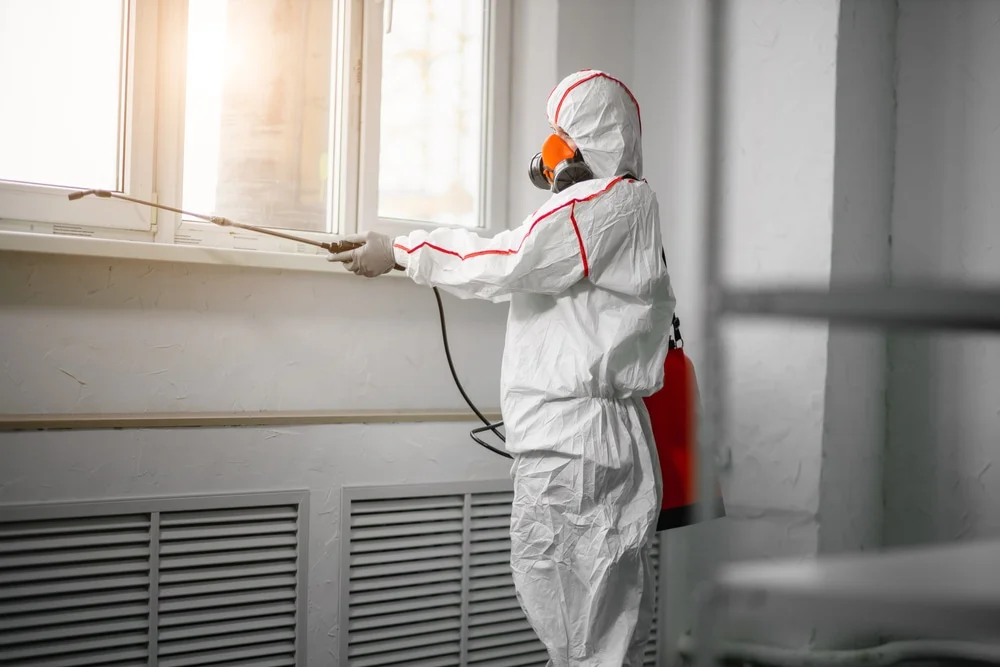 Professional mold remediation services in Big Sky, MT